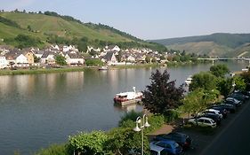 Mosel View